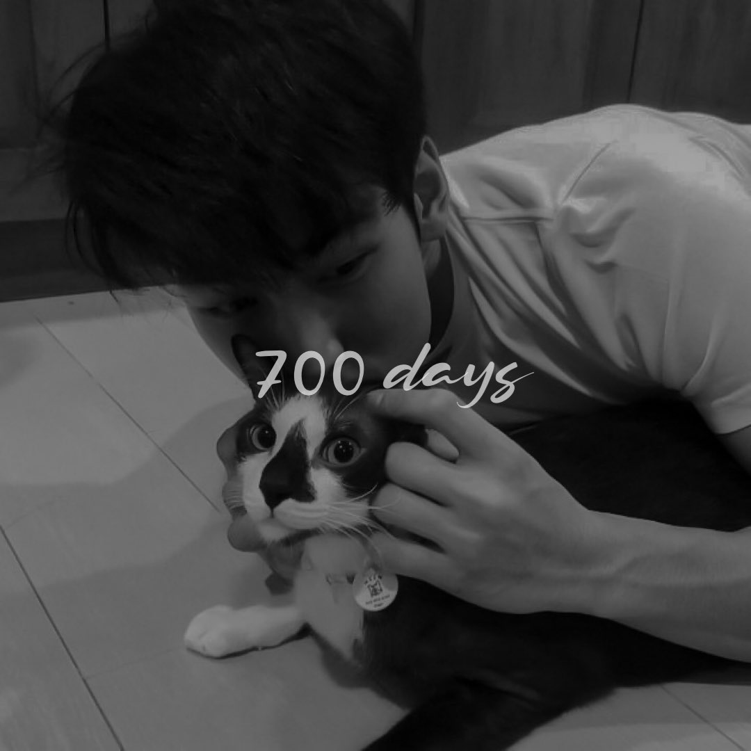 ㅤ

Before the day end, happy 700th days.

ㅤ