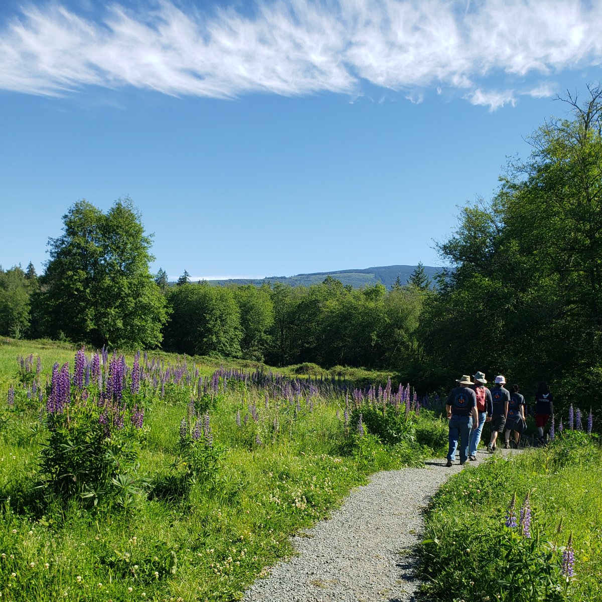 HKPArchitects's tweet photo. HKP’s second volunteer outing with Skagit Trail Builders was a memorable sunny day at the SWIFT Center helping to build a new trail in the meadow. The day was made even more special for Becca and Julie working with Paul Klein, one of HKP's firm founder Henry Klein's sons!  #HKP https://t.co/o0UQckugMl