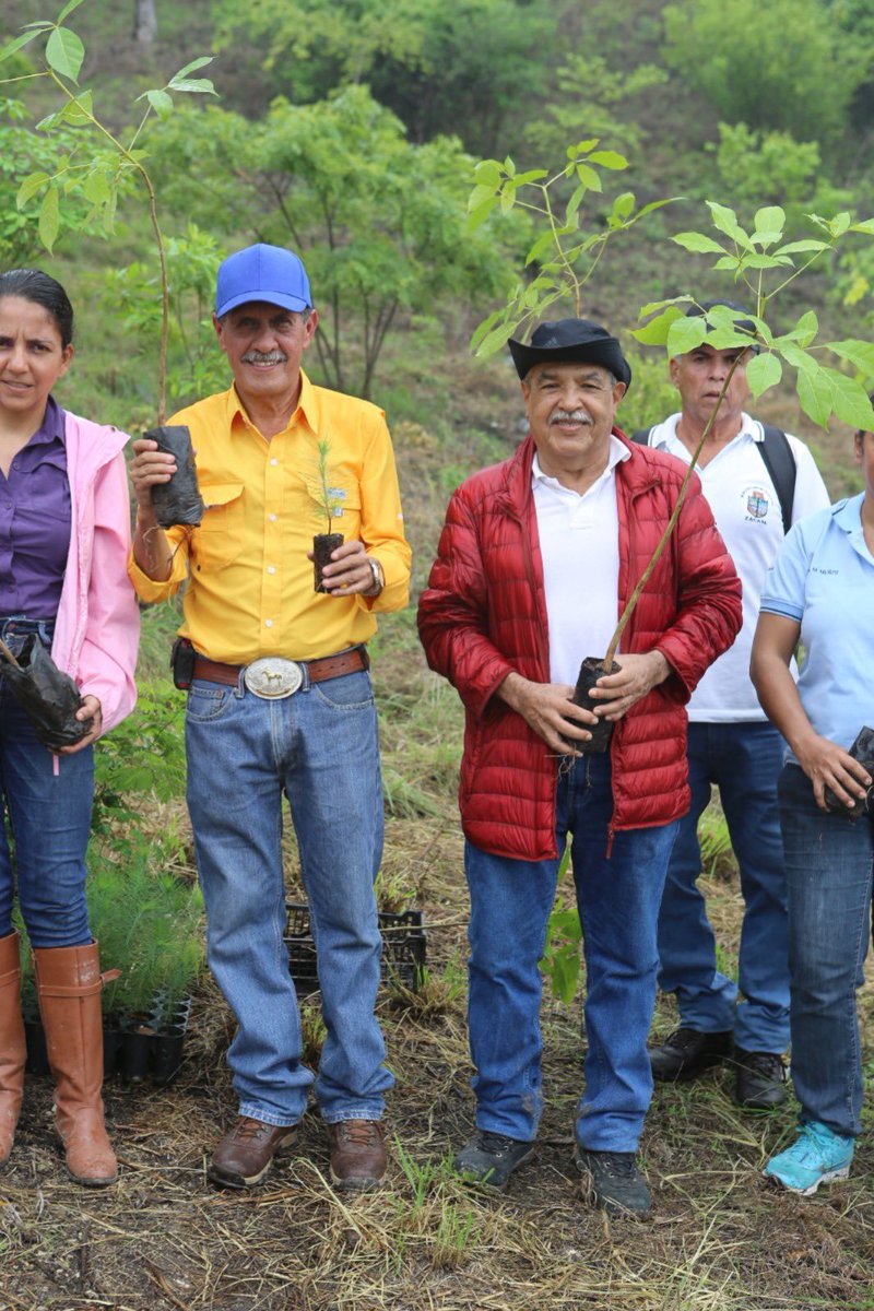 zacapagober's tweet photo. El Gobernador Arturo Echeverría participó en la actividad realizada por la Muni Tecu e @inabguatemala  ñ, donde iniciaron con el programa de reforestación 2024 denominado “Deja Huella Siembra un Árbol en Familia” y en el que sembraron 1,500 árboles en la Sierra de las Minas. https://t.co/pw5wITnDys