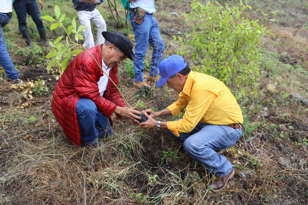zacapagober's tweet photo. El Gobernador Arturo Echeverría participó en la actividad realizada por la Muni Tecu e @inabguatemala  ñ, donde iniciaron con el programa de reforestación 2024 denominado “Deja Huella Siembra un Árbol en Familia” y en el que sembraron 1,500 árboles en la Sierra de las Minas. https://t.co/pw5wITnDys
