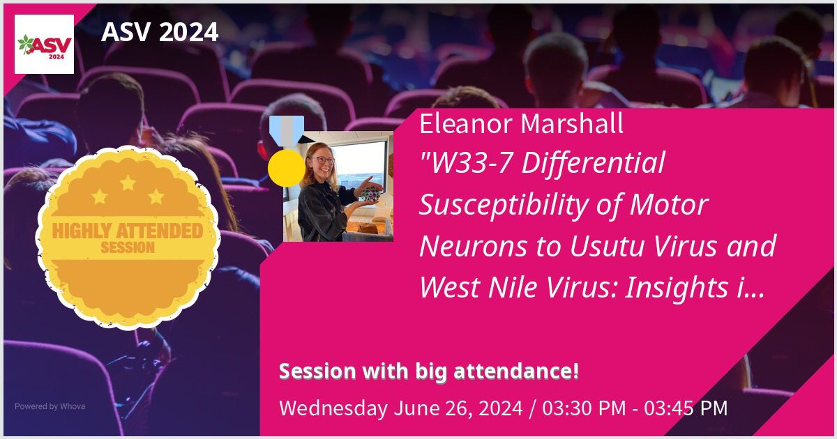 It was an absolute pleasure to present my work at #ASV2024 yesterday! A huge thank you to everyone who attended, engaged (including laughing at my bad cryo-EM joke) and contributed to the discussion!