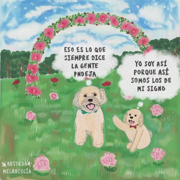 absurdamela's tweet photo. https://t.co/otPgvrRzLJ