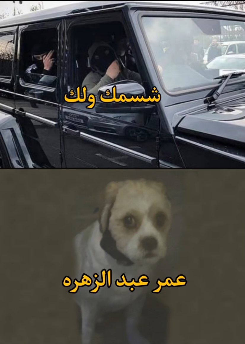 حسين tweet media