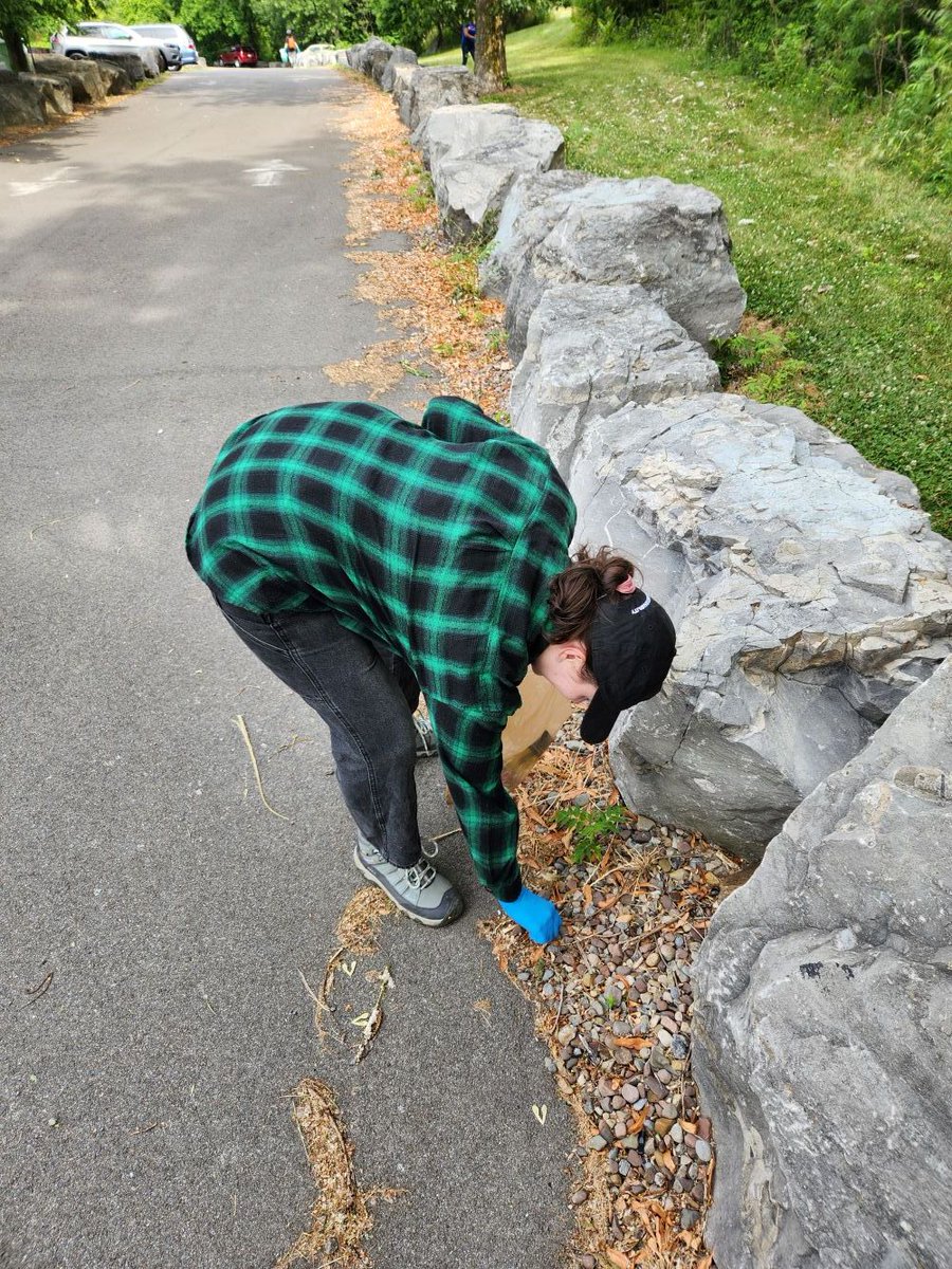 Erie County Parks tweet media