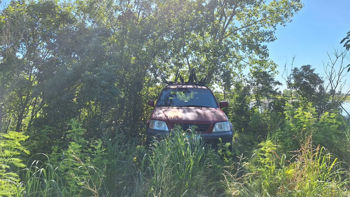 OutdoorsMegee's tweet photo. Twas a night of MOSQUITOES AND SHENANIGANS! Took the ole honda crv bushwacking!  Finally we got out for some nonsense under the stars! See yal soon!
#Youtube #Subscribe #support #carcamping #bushwacking #hondacrv #camp #nature https://t.co/nX9UOn1fEh
