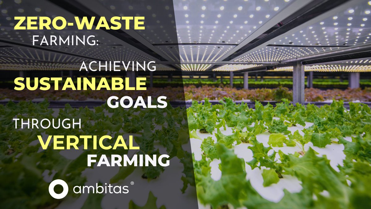 ambitas's tweet image. fresh produce with minimal footprint? sure! our latest blog post explores the magic of zero-waste vertical farming.

explore here: ambitas.org/blog/zero-wast…

#iot #internetofthings #iotengineering #urbanfarming #verticalfarming #iotcompany #iotsensors