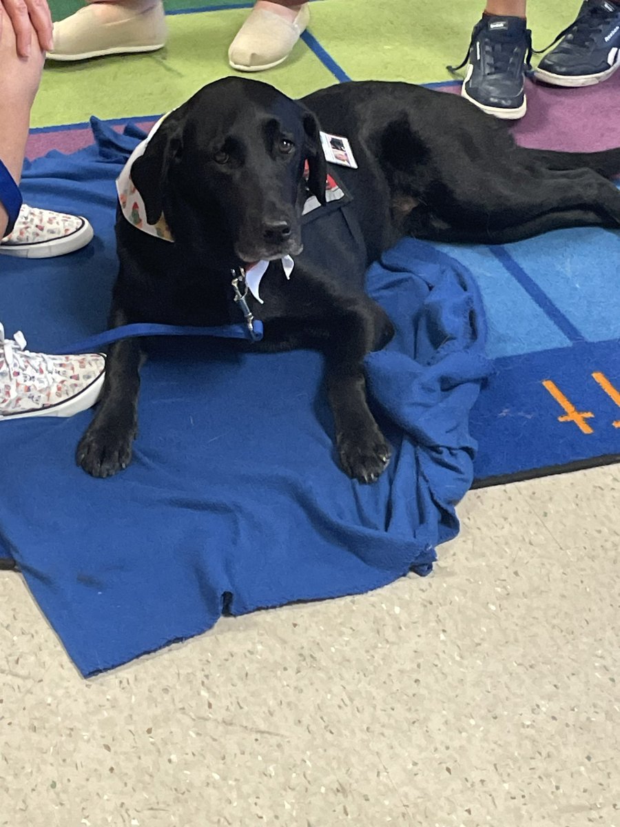 FCPS FAST Program tweet media