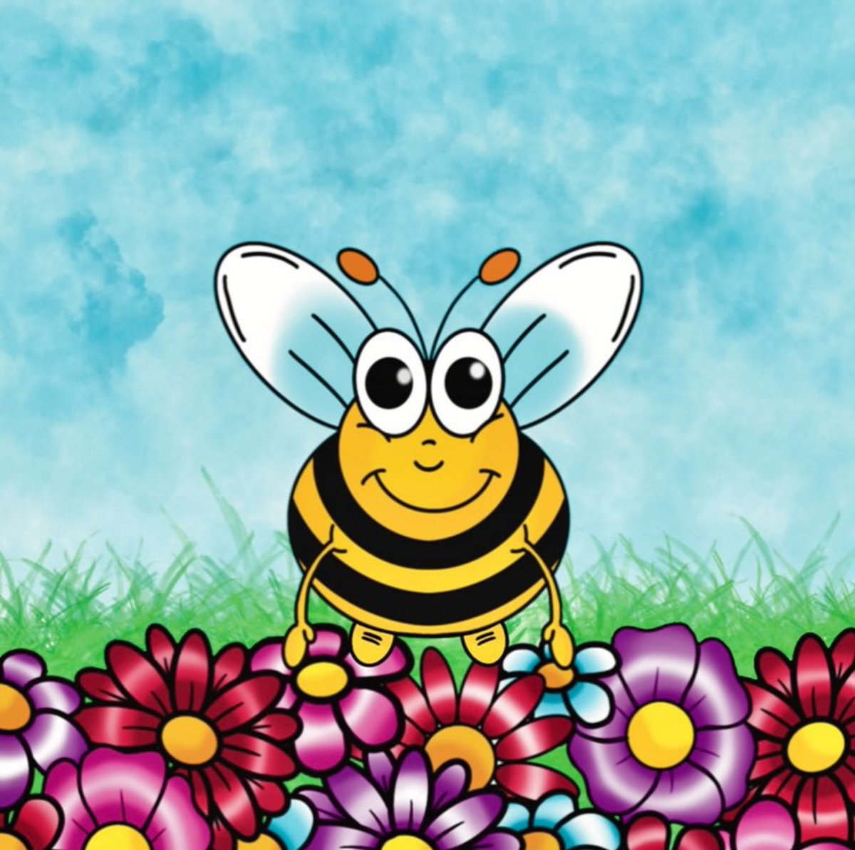 Noel Smith Stories tweet media