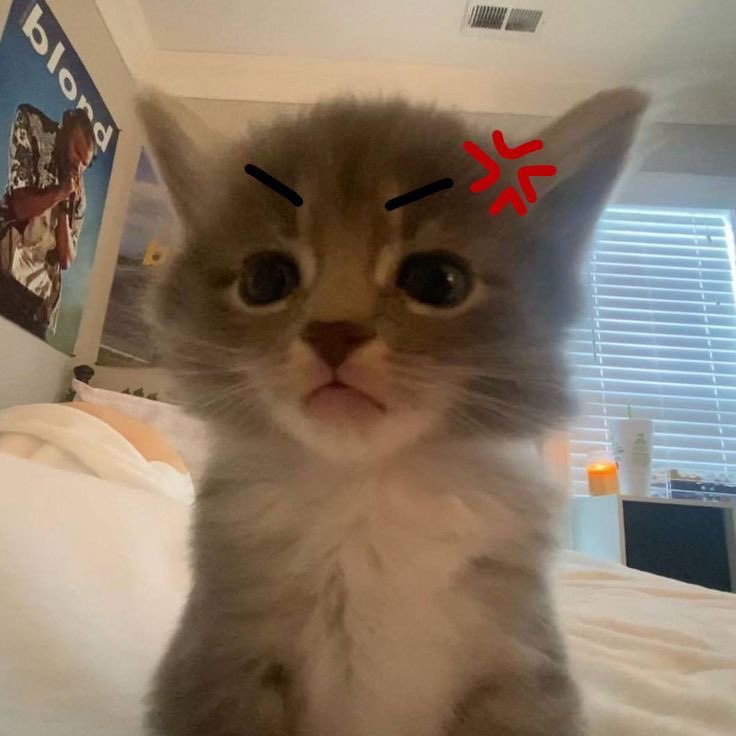 𝐉𝐄𝐌𝐈𝐌𝐀. tweet media