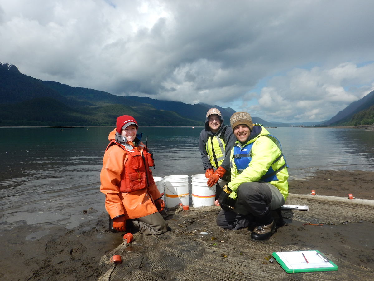 Alaska Sea Grant tweet media