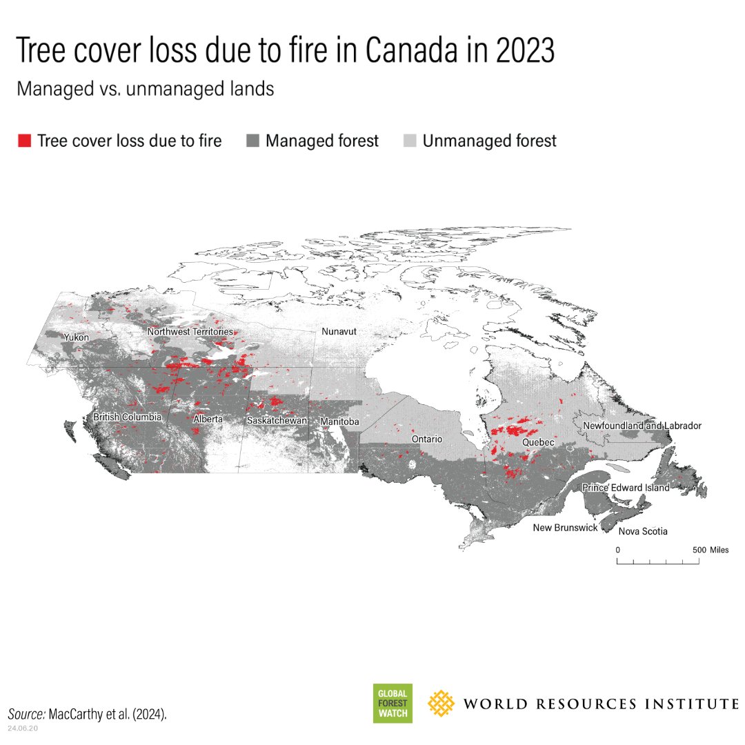 Climate change is fueling wildfires in Canada🌲🔥

The 2023 Canada wildfires accounted for more than a 1/4 of all #TreeCoverLoss globally and were largely driven by unusually hot temperatures and low precipitation.

Read the new analysis from <a href="/globalforests/">Global Forest Watch</a> about the effect these