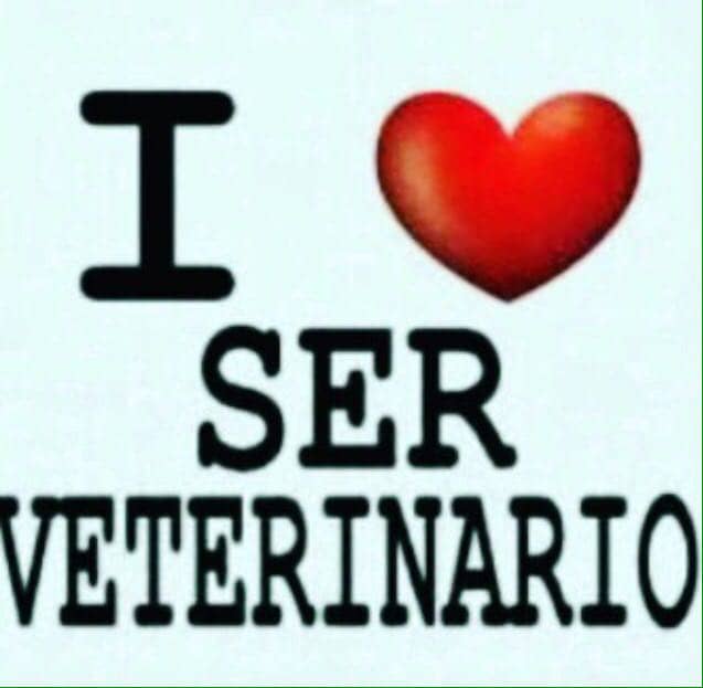 Jorge Tartaret (@tartaret) on Twitter photo 