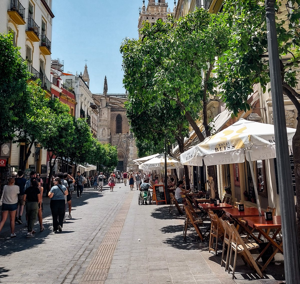 Sector035's tweet image. It's time for the #Thursdayquiz!
It is fairly easy to find the city. But can you give me a Google Maps link, closest to where this image was taken?
🤝 Reply all = collaboration
👇 Reply in thread = answers
🔃 Retweet = invite others
👣 Follow @quiztime  = more #verification