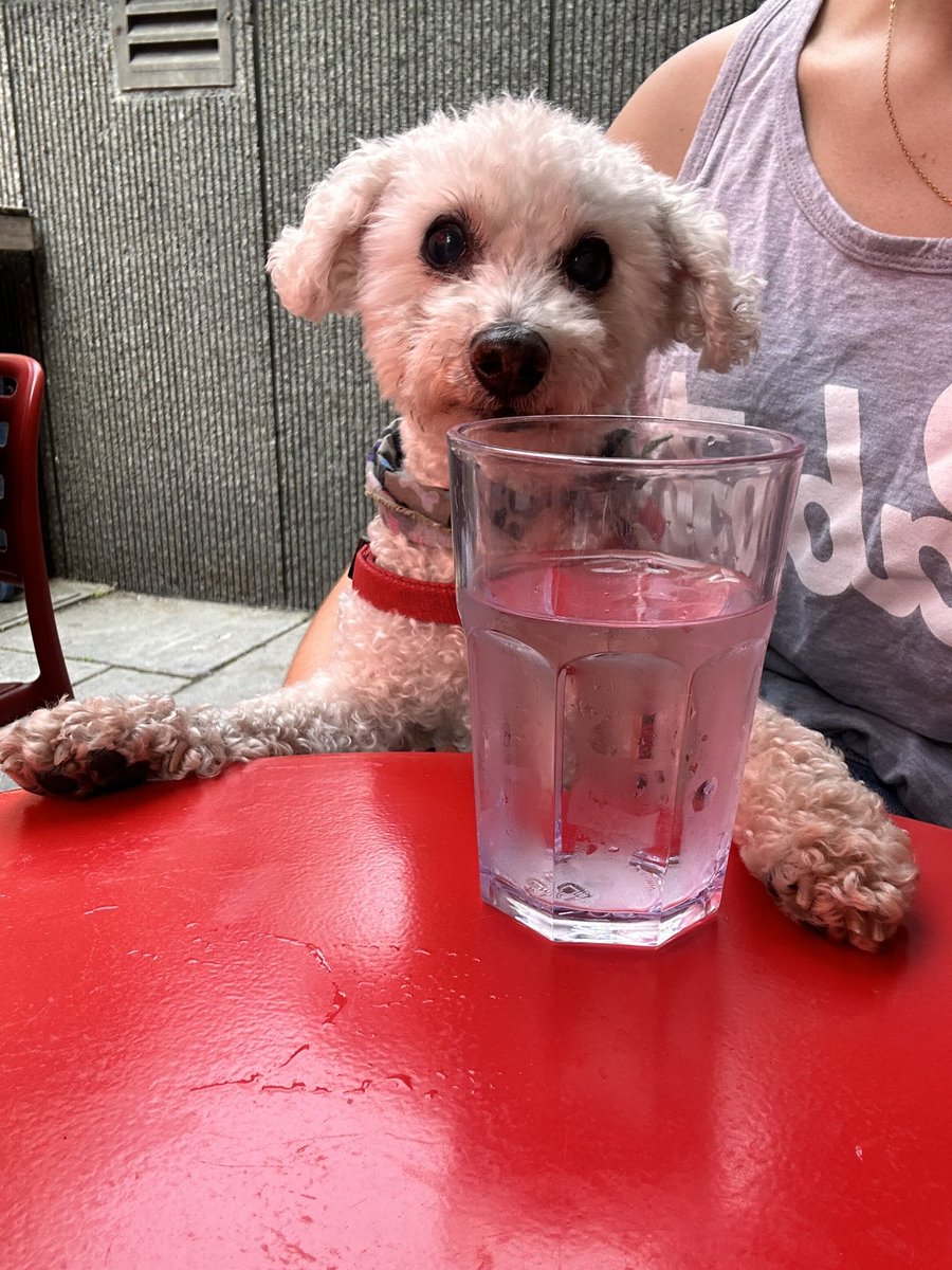 If you truly want to understand someone, listen with ears and eyes— how they speak, what they say, and what their body is saying.

For words are merely a part of a story. 

Body language and tone can unmask feelings that are an indication of deep desires and how one treat others.