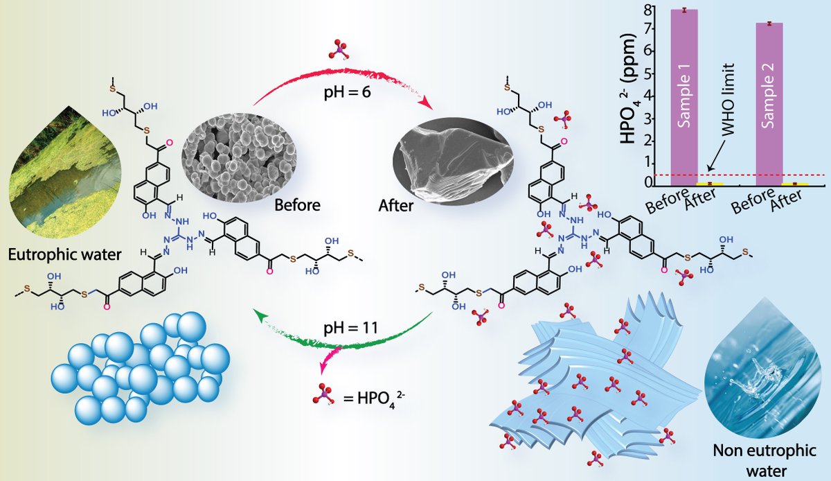 Gunanka and other group members developed a pH-responsive Covalent Organic Network. The phosphate adsorption resulted in the transition of surface morphology from spherical to sheet-like structures. Now published in the Journal of Materials Chemistry A 
pubs.rsc.org/en/content/art…