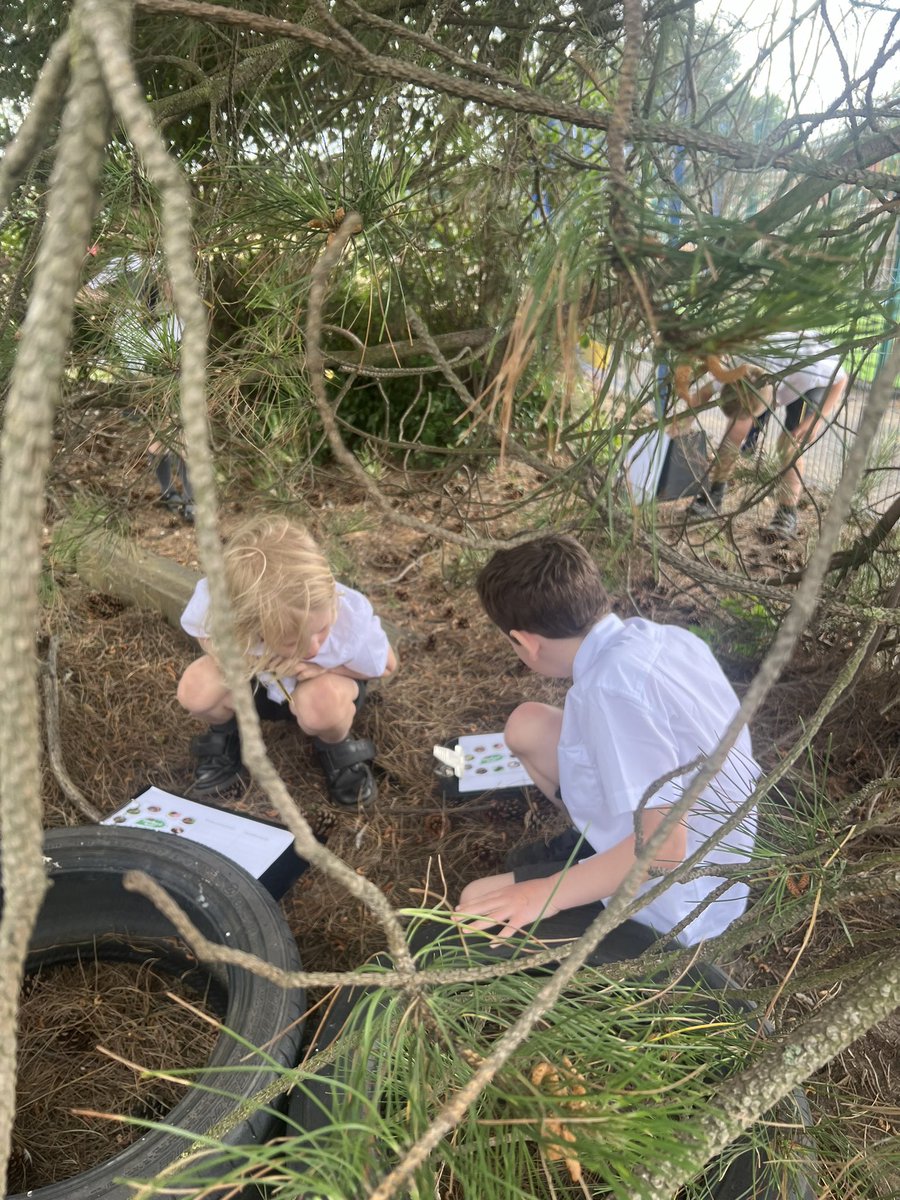 Shoreside Year 2 tweet media