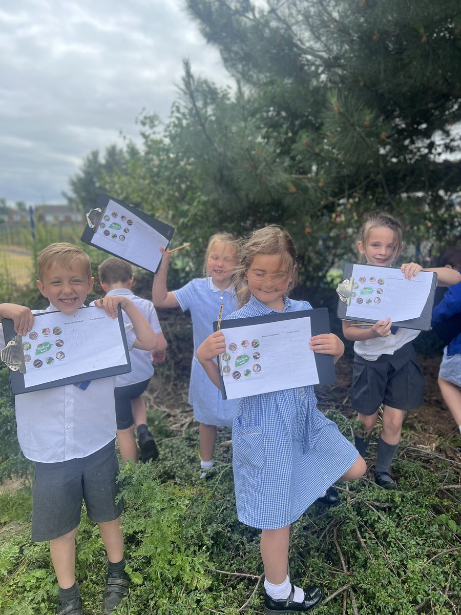 Shoreside Year 2 tweet media