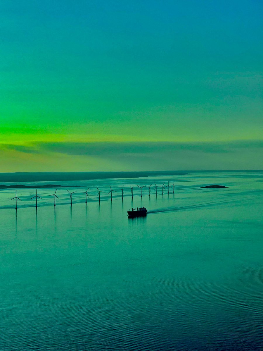 photocrazy tweet media