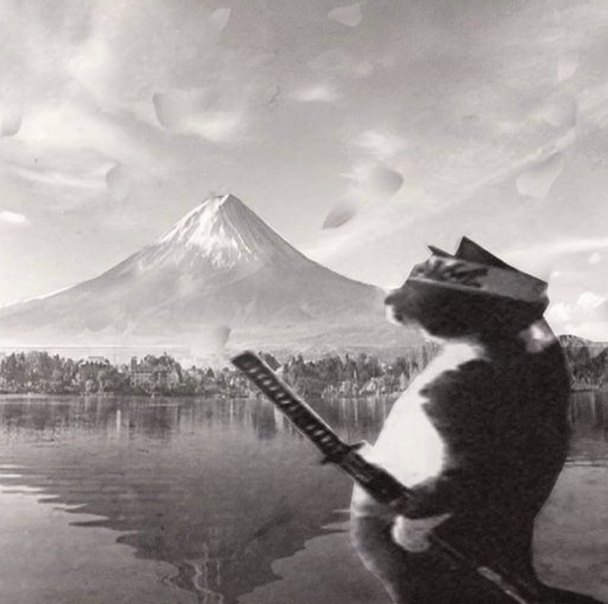 insane poses (@insaneposes) on Twitter photo 