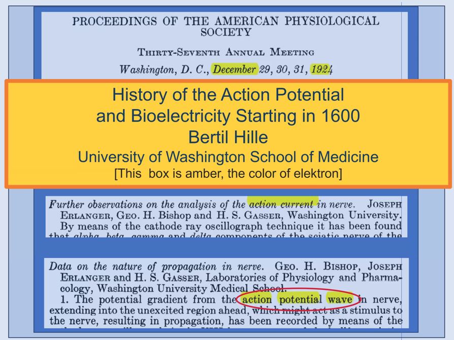 Felix Viana tweet media