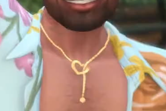 sims team you sly dogs