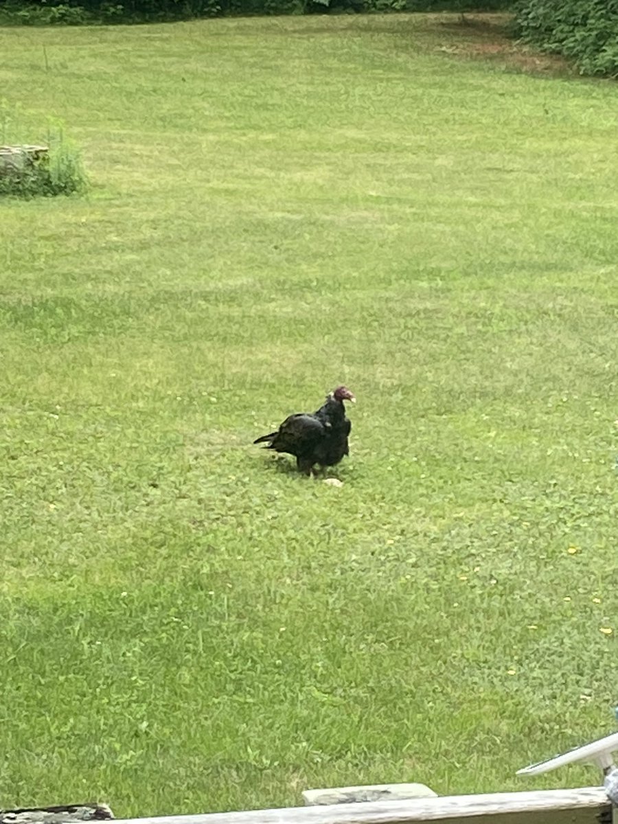 Ashton Carr tweet media