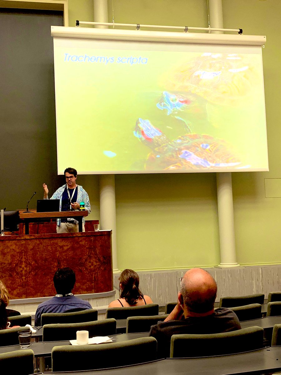 Centro Andaluz de Biología del Desarrollo (@cabd_upo_csic) on Twitter photo The #CABD is very well represented at the #EED2024 with the talks of <a href="/rdacemel/">Rafael Domínguez Acemel</a> from <a href="/Dariloops/">Darío G. Lupiáñez</a>’s lab & <a href="/RealFany/">Fany Martinez Real</a>! The #CABD is very well represented at the #EED2024 with the talks of <a href="/rdacemel/">Rafael Domínguez Acemel</a> from <a href="/Dariloops/">Darío G. Lupiáñez</a>’s lab & <a href="/RealFany/">Fany Martinez Real</a>!