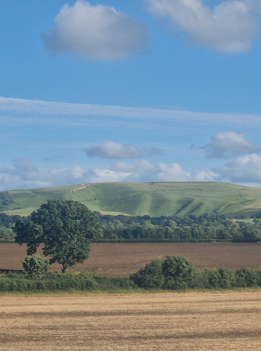 White Horse Hill looking stunning in the evening sun. Great view from <a href="/GWRHelp/">GWR</a> train