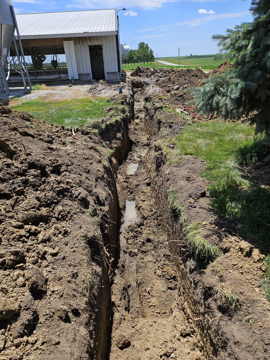 TurkeyTye tweet media