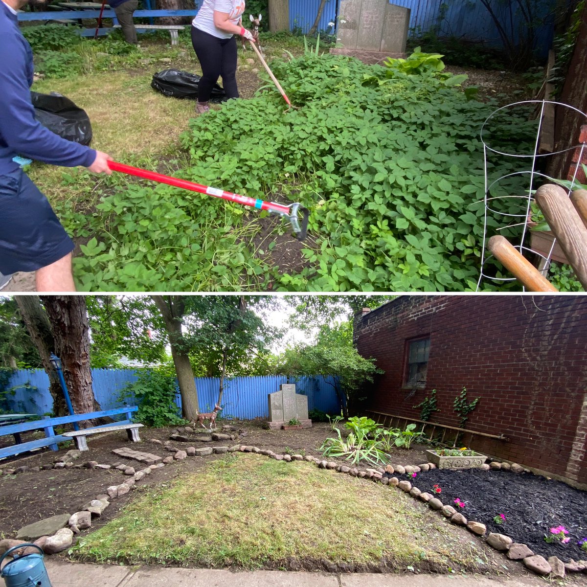 BNP Young Professional tweet media