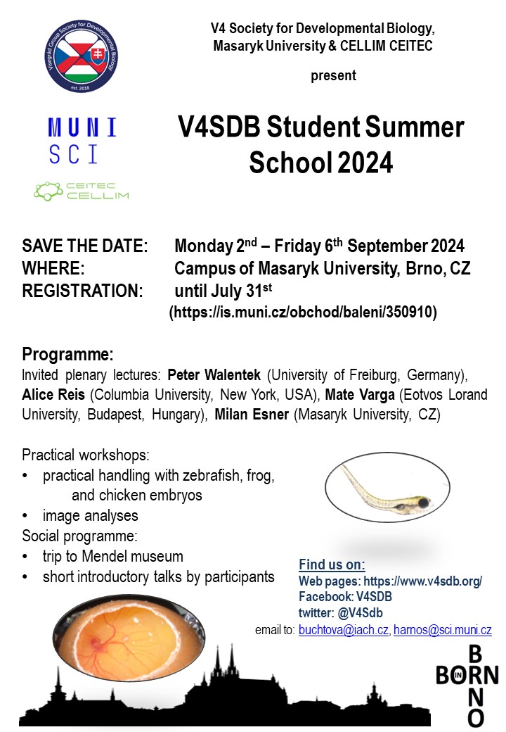 Do you like xenopus or zebrafish embryos and would you like to work with them?  Come to Brno for practical session and plenary talks introducing you how to use them in your research🐸🐣🐟 Registration for V4SDB Student Summer School 2024 is open: is.muni.cz/obchod/baleni/…