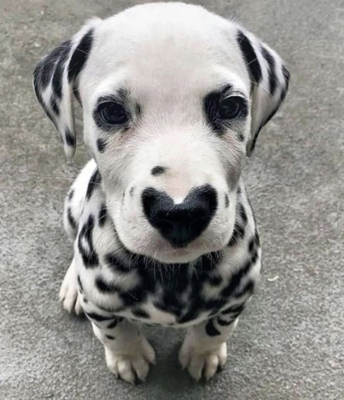 <a href="/blknoiz06/">Ansem</a> Ansem put spot in your long term bag too.

$SPOT