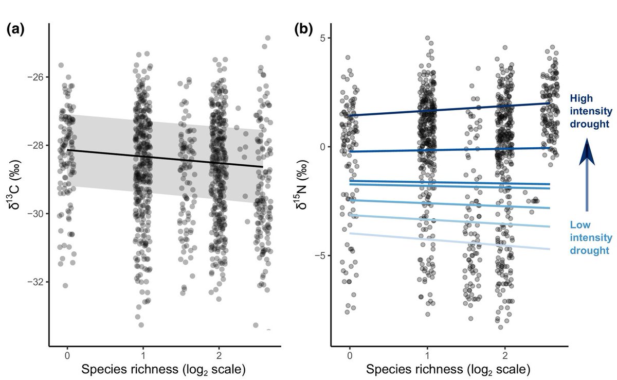 Leaf isotopes reveal tree diversity effects on the functional responses to summer drought

Jing et al. <a href="/JingXin16/">Xin Jing</a> <a href="/K_VanMeerbeek/">Koenraad Van Meerbeek</a> <a href="/BCastagneyrol/">Bastien Castagneyrol</a> <a href="/eisenhauer1292/">Nico Eisenhauer</a> <a href="/BartMuys/">Bart Muys</a> <a href="/charlesnock/">Charles Nock</a> <a href="/dForNatLan/">Division Forest, Nature & Landscape</a>

📖 ow.ly/TT5150SqNpI