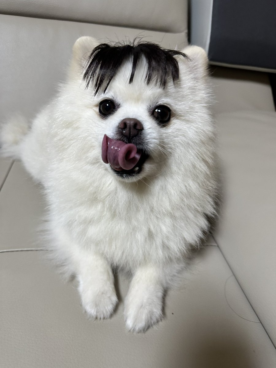 미취겐넼ㅋㅋㅋㅋㅋㅋㅋㅋㅋㅋㅋㅋㅋㅋㅋ