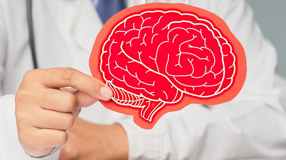 dlhampton's tweet image. Study Links Stress to Mitochondrial Dysfunction in the Brain buff.ly/3RKfuJd