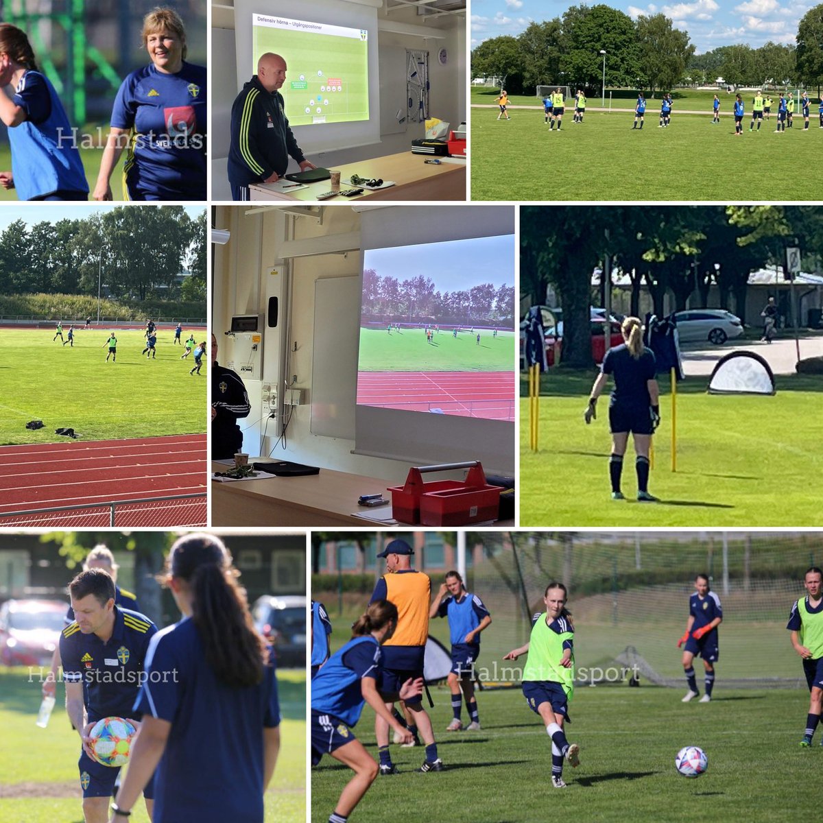 Elias Elie Mineirji tweet media