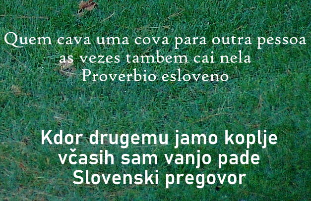 stupicajj's tweet photo. V razmislek Portugalcem... https://t.co/yz8iyMHorJ