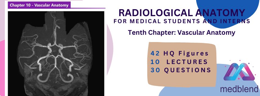 MedBlendPub's tweet photo. 🚀 Introducing Chapter 10: Vascular Anatomy! 🚀
🔍 What’s inside?
📊 42 High-Quality Figures
🎓 10 Lectures
📝 30 Questions
🌐 Begin Your Learning Journey Today: https://t.co/AbGtZVtYyc
#radres #radiology #Anatomy #MedEd #futurerad https://t.co/wsu1UmpUlP