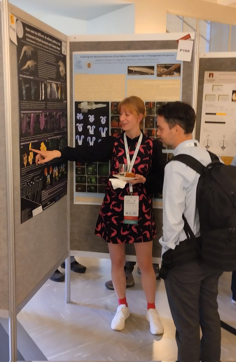 Harzsch_lab_Greifswald (@sharzsch) on Twitter photo Featuring crustaceans at #EED2024:
<a href="/aguiladri/">Adriana Aguilar-Maldonado</a> and <a href="/LisaMesrop/">Lisa Yeter Mesrop 🇦🇲</a> discussing luminescent ostracods
and Katja Kümmerlen explaining the brain of mysids. Featuring crustaceans at #EED2024:
<a href="/aguiladri/">Adriana Aguilar-Maldonado</a> and <a href="/LisaMesrop/">Lisa Yeter Mesrop 🇦🇲</a> discussing luminescent ostracods
and Katja Kümmerlen explaining the brain of mysids.