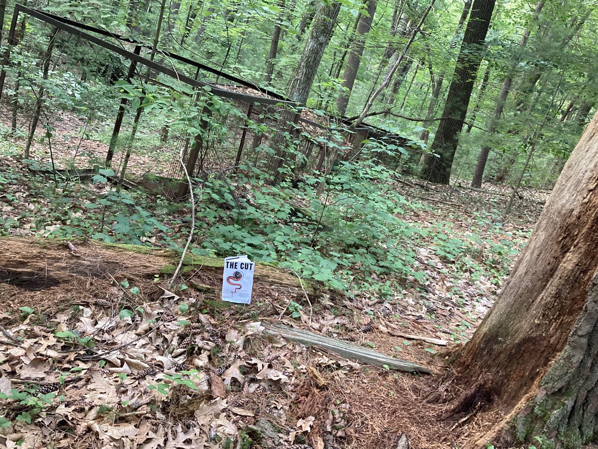 BrianaUna's tweet photo. It's Cover Reveal Day for CJ Dotson's creepy debut, THE CUT! I've read this baby, and I love it!
To celebrate, here it is in all its unsettling glory, haunting my a bit of my own local creepiness: this abandoned zoo in the woods of Connecticut...
#TheCutBook https://t.co/UuboZer8Av