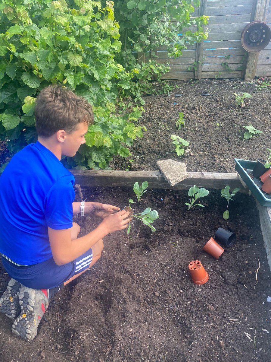 Seeder_Wood's tweet photo. During busy weeks it is hard to keep on top of the allotment… Weeding, planting out Sprouts and Celeriac and lots of watering tonight #growyourown #Alex12 https://t.co/S4vCDDD2Na
