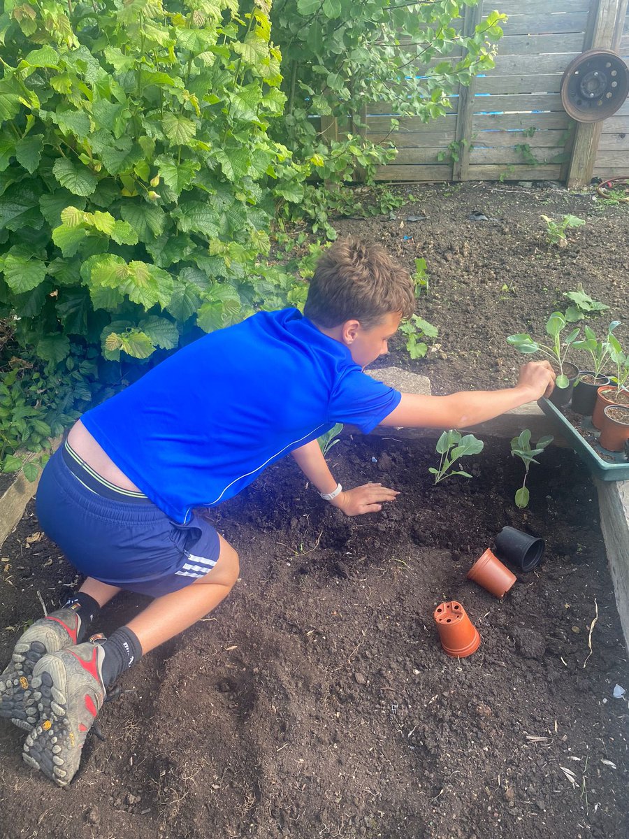 Seeder_Wood's tweet photo. During busy weeks it is hard to keep on top of the allotment… Weeding, planting out Sprouts and Celeriac and lots of watering tonight #growyourown #Alex12 https://t.co/S4vCDDD2Na