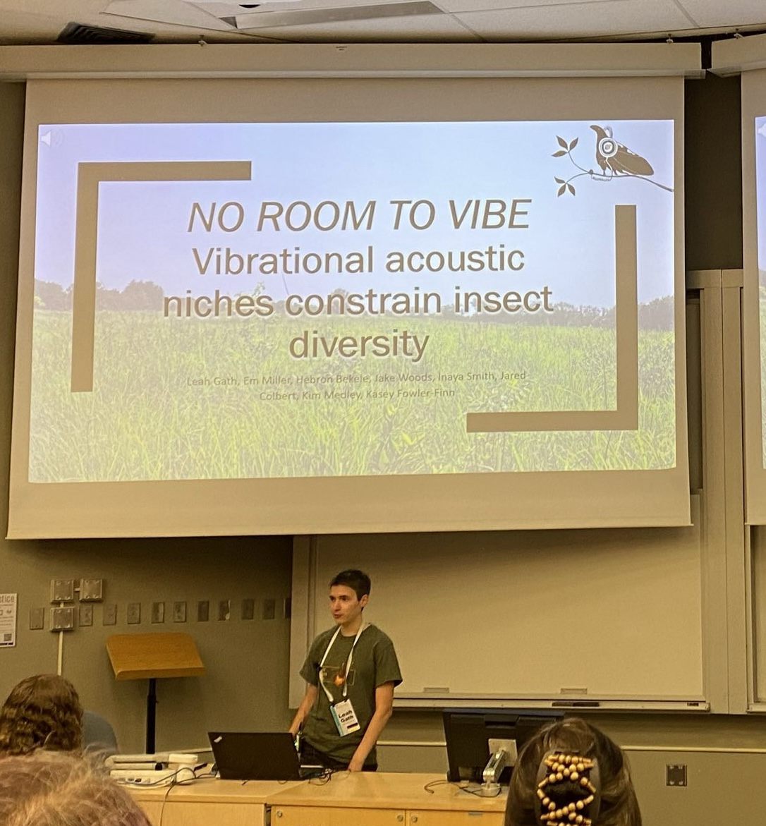 "We need to better understand factors shaping insect communities," says Leah Gath, who looks at how insects communicate vibrational signals through plant stems and leaves. How might competition for acoustic space affect the welfare of invertebrate individuals? #ABS2024