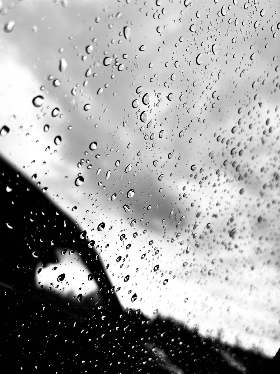 linsen's tweet image. 