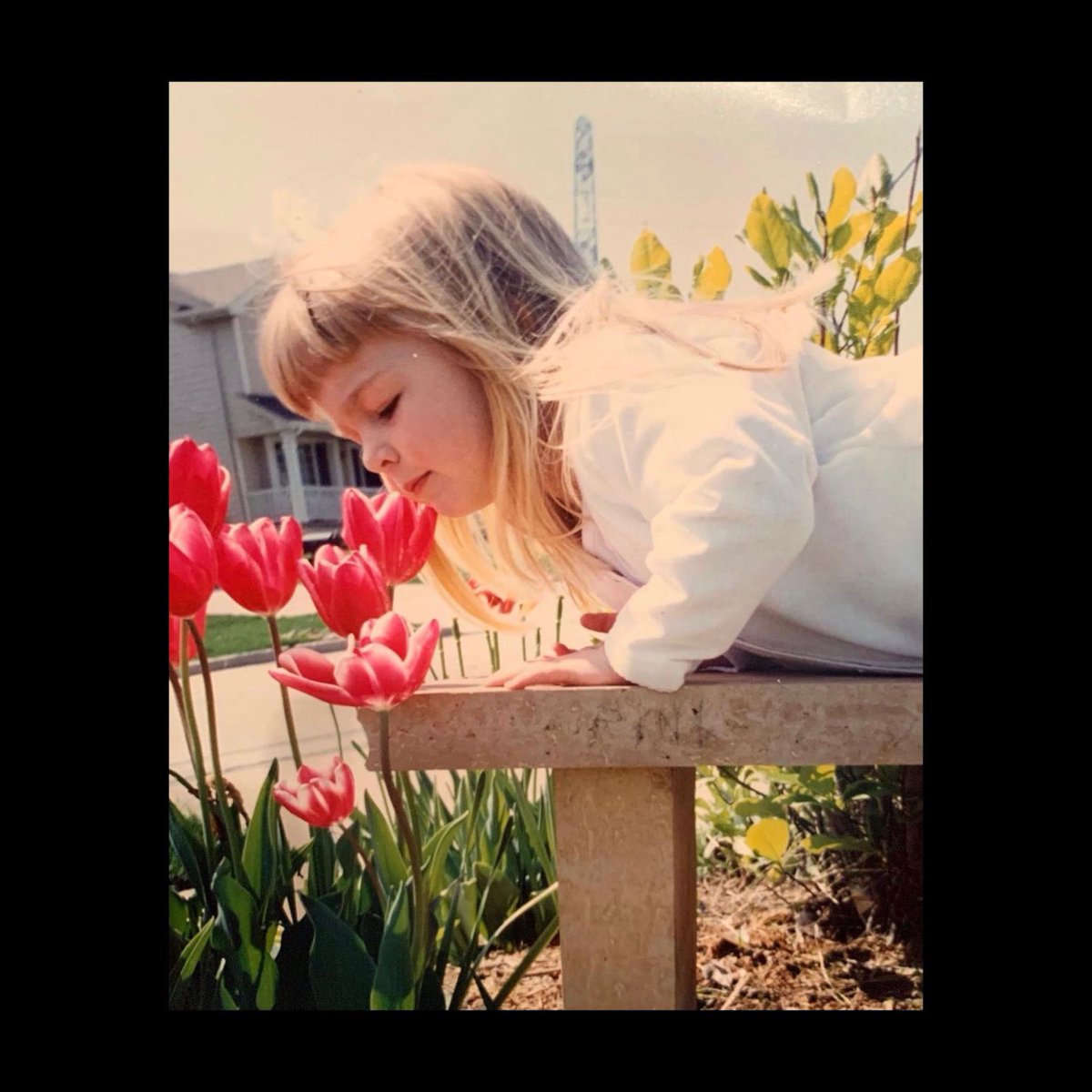 paige carlson lowary tweet media