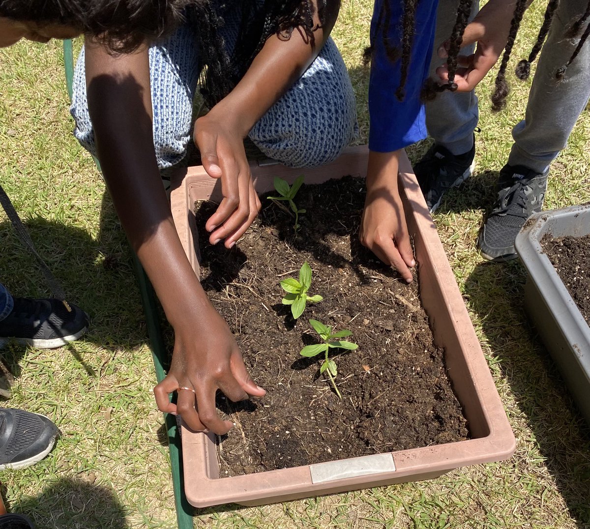 It is #NationalPollinatorWeek, a perfect time to celebrate the @DoDEA Worldwide Pollinator Project!! Over 30 schools in 11 countries and territories building pollinator gardens! <a href="/DoDstem/">DoDSTEM</a> #STEM