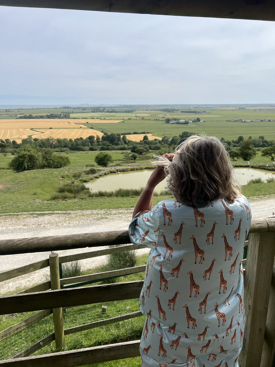 ANDY MAYO tweet media