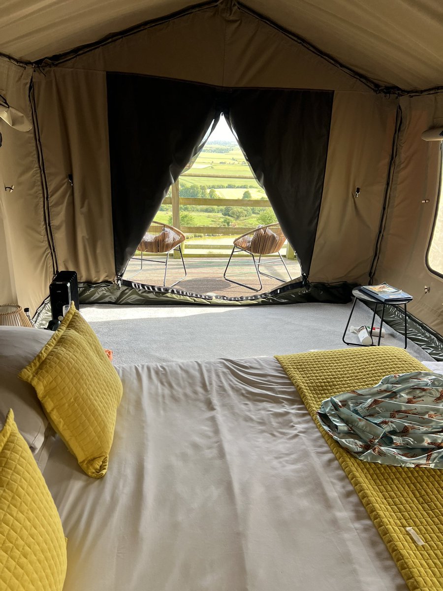 ANDY MAYO tweet media