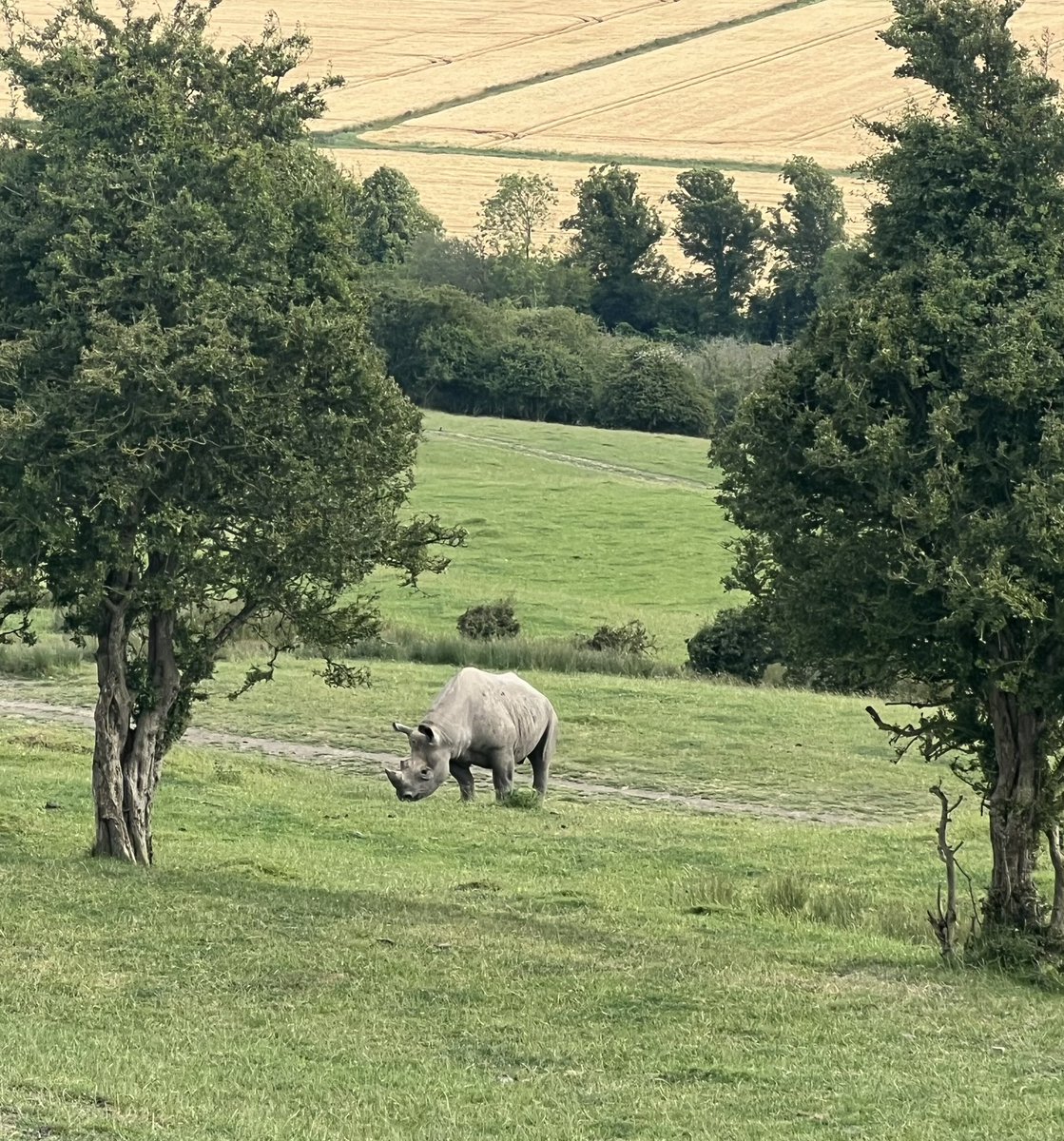 ANDY MAYO tweet media