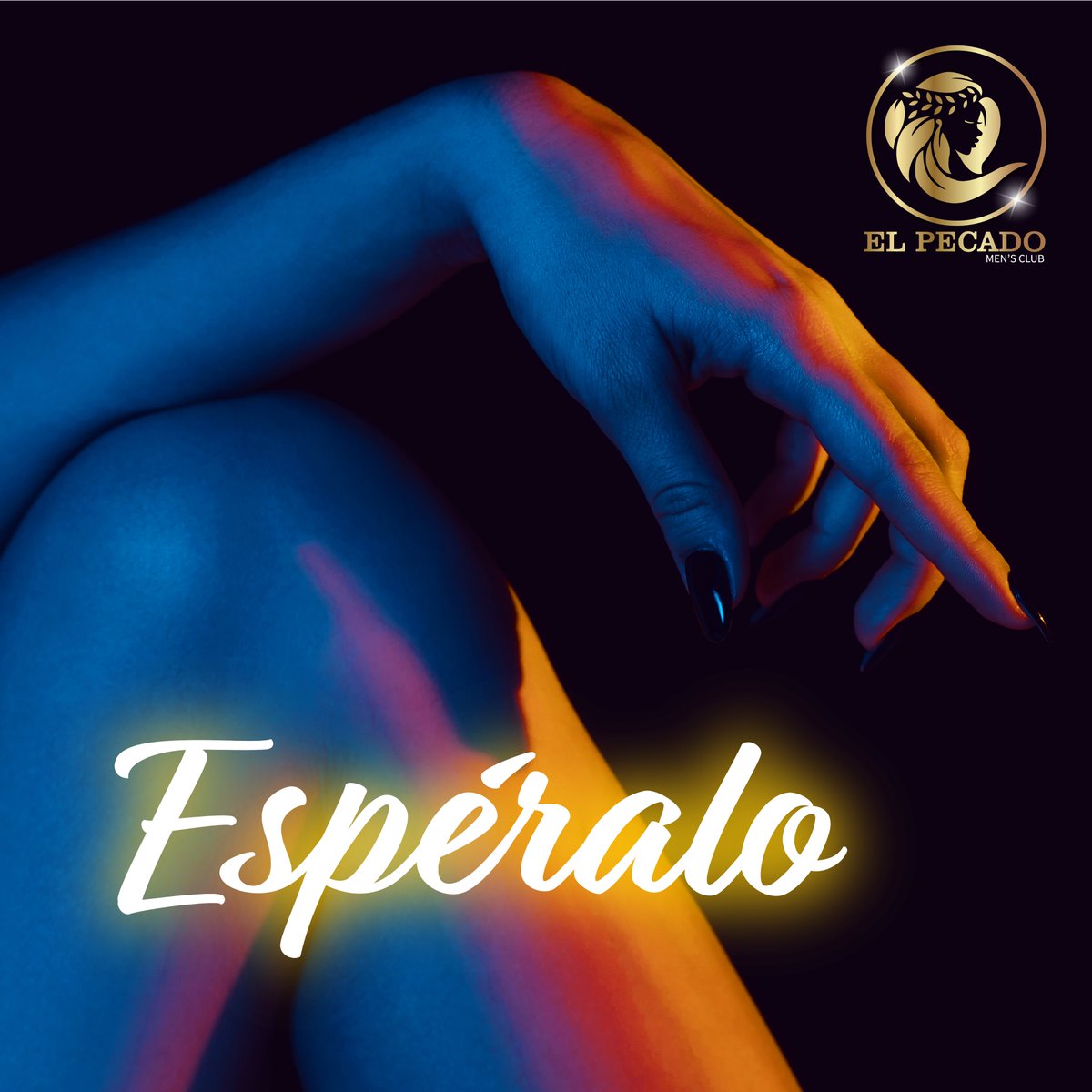 ElPecadoClub's tweet photo. Estamos emocionados de anunciar que a partir de la próxima semana, inauguramos un nuevo concepto que elevará tus noches a otro nivel🥵.

Horarios de Atención:
⏰Martes a Sábado: 8:00 PM - 3:00 AM
📲𝙍𝙀𝙎𝙀𝙍𝙑𝘼: 222 512 9243 https://t.co/6Yy9LNrCoi